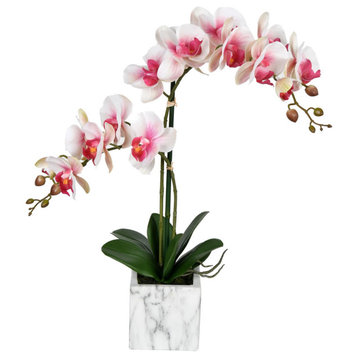 Vickerman 22" Phalaenopsis In Pot, Pink White