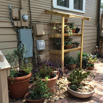 Xeriscape #2
