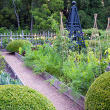 Vegetable garden design