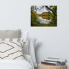 Lost in Autumn Color Landscape Photo, Rural Unframed Wall Art Print