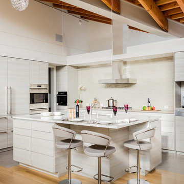 Contemporary Kitchens