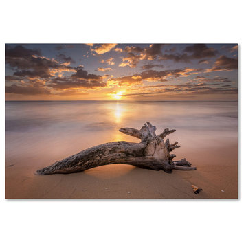 Pierre Leclerc 'Beach Tree Sunrise' Canvas Art, 19x12