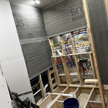 Basement Remodel