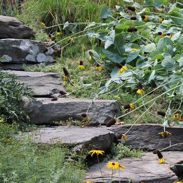 Ardmore Landscape Designer | Neo Classical Residence