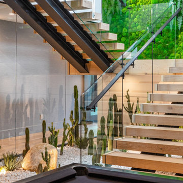 Bundy Drive Brentwood, Los Angeles modern home indoor cactus garden