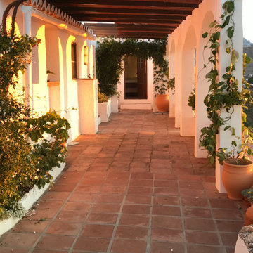 Finca Alma Vieja- Andalucía, Spain