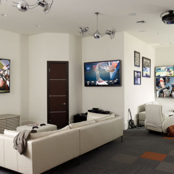Magnolia Home Theater Projects