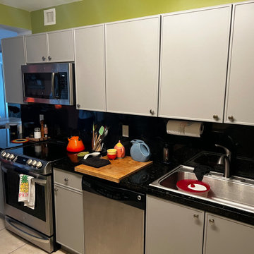 Modern Kitchen Remodel Done in a Slim Shaker Door