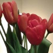 Camelia Adascalitei's photo