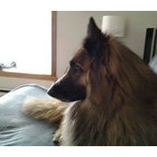 Johanne St-Amand Howell's photo
