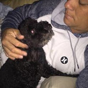 Elton Seeto's photo
