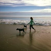 Lisa Shea's photo