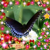 Kay Teague's photo