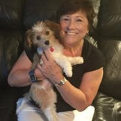 Darleen Fust's photo