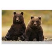 Slava Shirokov's photo