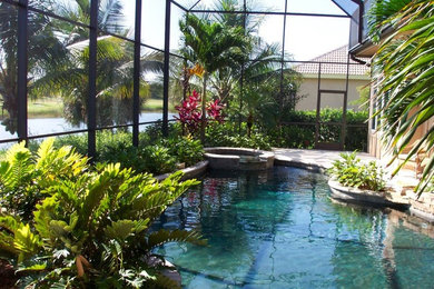 Photo of a tropical pool in San Diego.