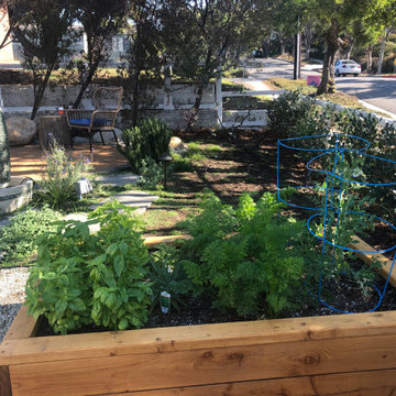 Raised veggie boxes