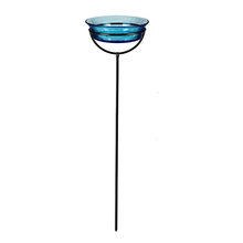 Bird Bath