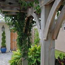 Back Garden