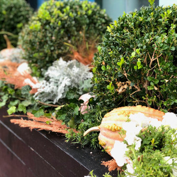 Tuckernuck Fall Storefront