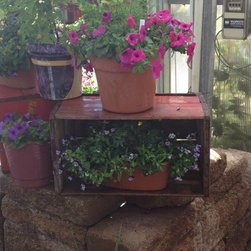 Garden Center 2014 - Products