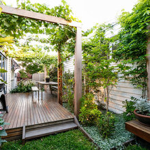 The backyard
