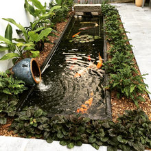 Capel En-suite Garden