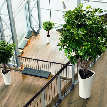 Interior Services