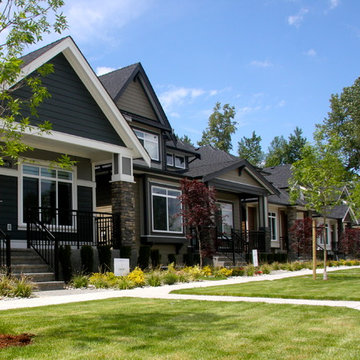 Cadence