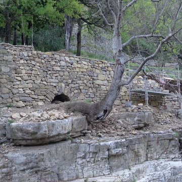 Mur de soutènement à pierre sèche Pégairolles de l'escalette
