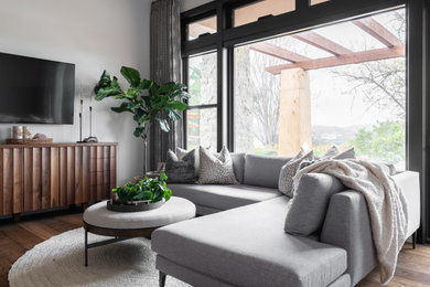 Example of a large transitional living room design in San Diego