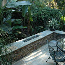 back yard