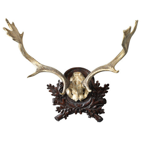 Fallow Antler Plaque