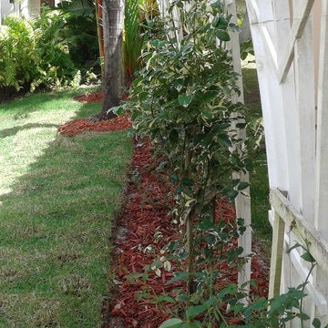 Couple’s dream Mediterranean landscape fulfilled