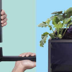 Noocity Growbed - Products