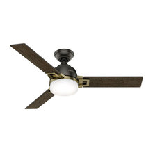fan options