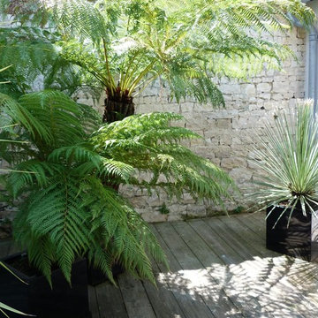 Jardin et patios