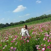 มอดิ วาs foto