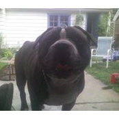 Matthew Czyz's photo