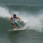 David Erwin's photo