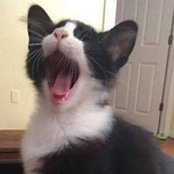Mary Van Doren's photo