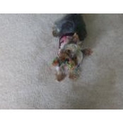 Rachel Ford's photo