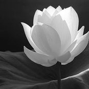 Marion Karro's photo