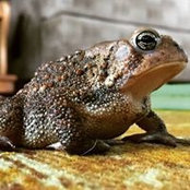 Terry Stowell's photo