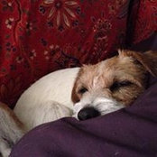 Ursula Schwalbe's photo