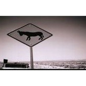 Ian McCart's photo