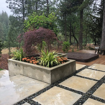 Contemporary Mountain Woodland