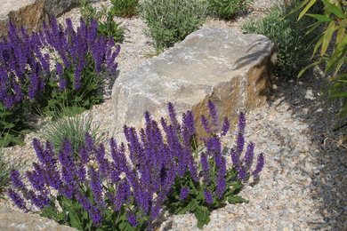 Aménagement d'un jardin contemporain.