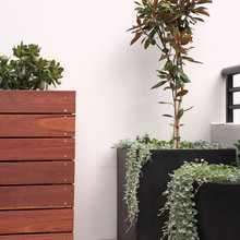Planters