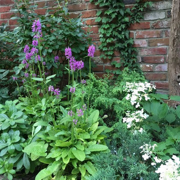 Garden and patio design and plantings